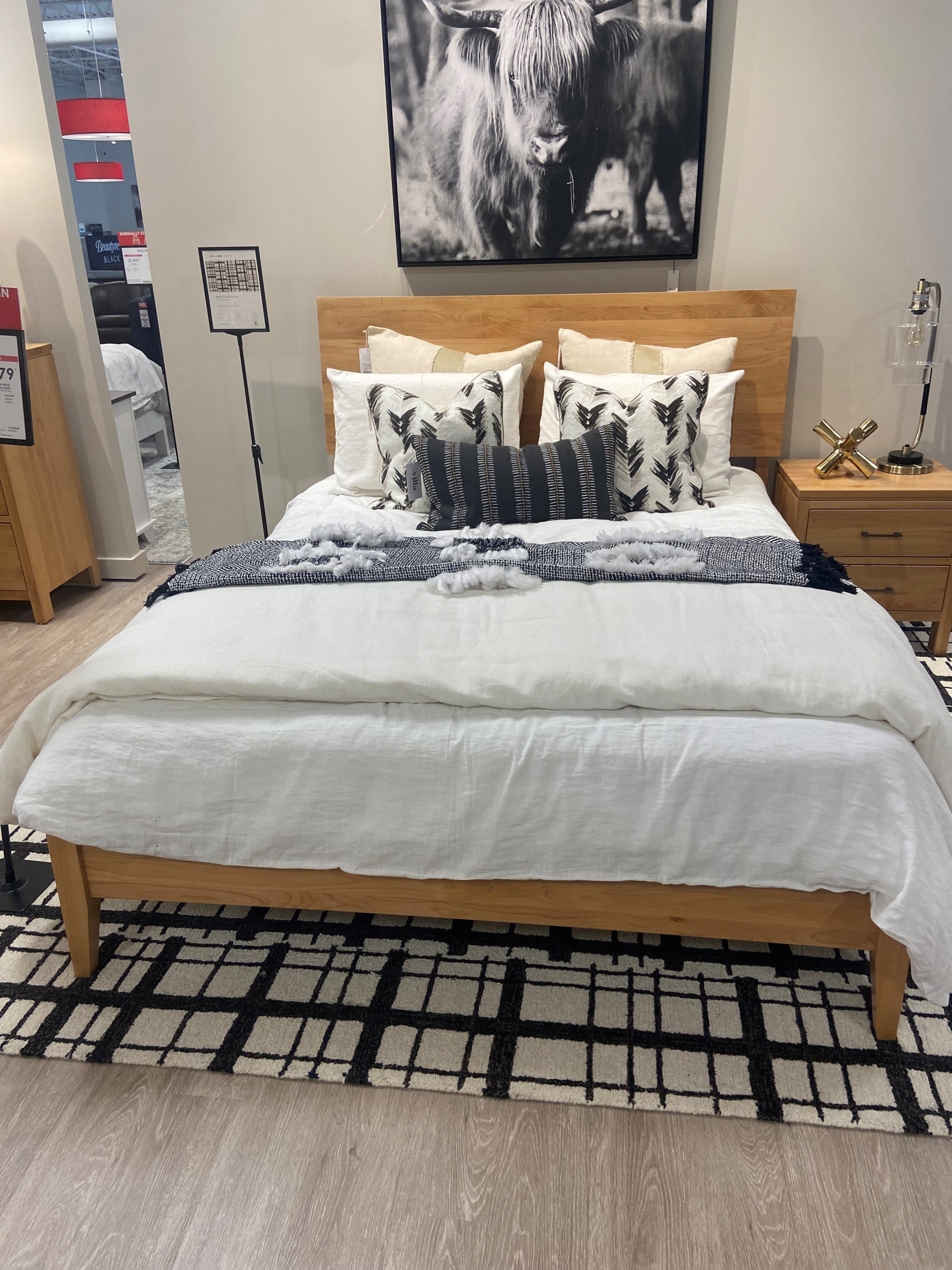 Queen Modern Platform Bed