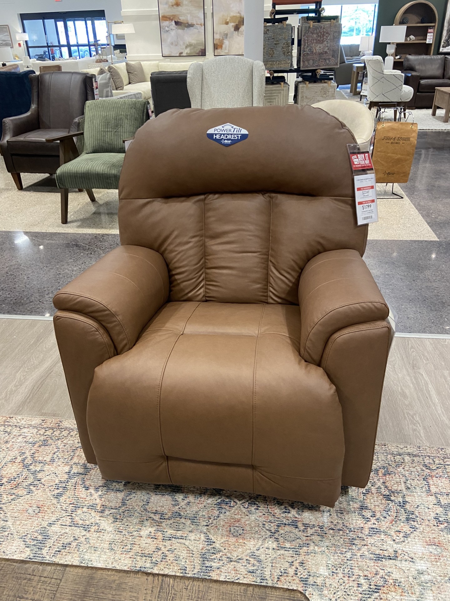 Power Rocker Recliner