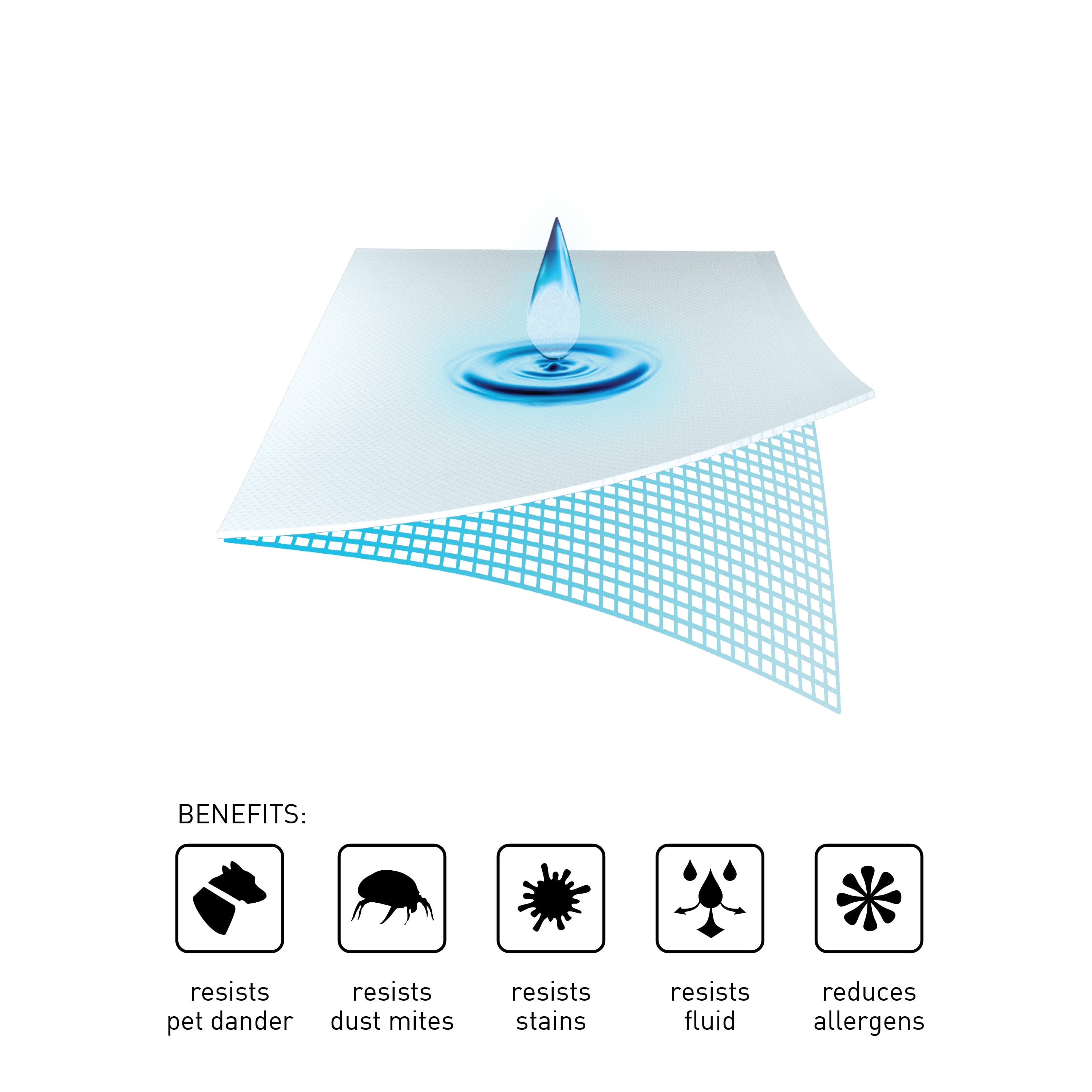 King Mattress Protector