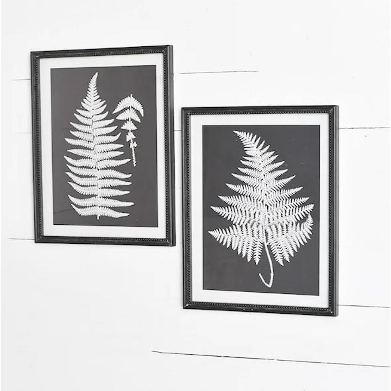 PD Home & Garden Wall Decor Assorted Black & White Fern Wall Decor