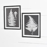 Assorted Black & White Fern Wall Decor