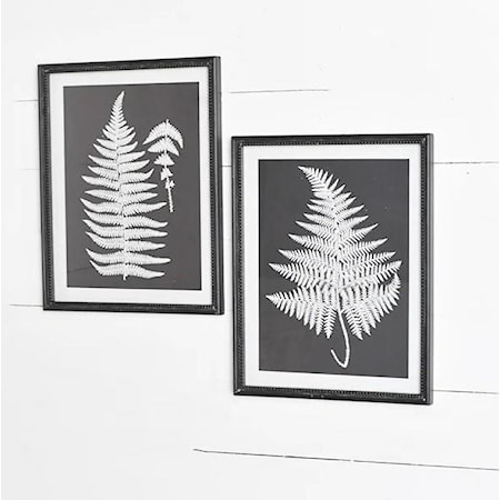 Assorted Black & White Fern Wall Decor