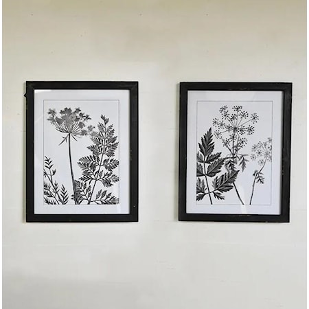 Assorted Botanical Wall Art