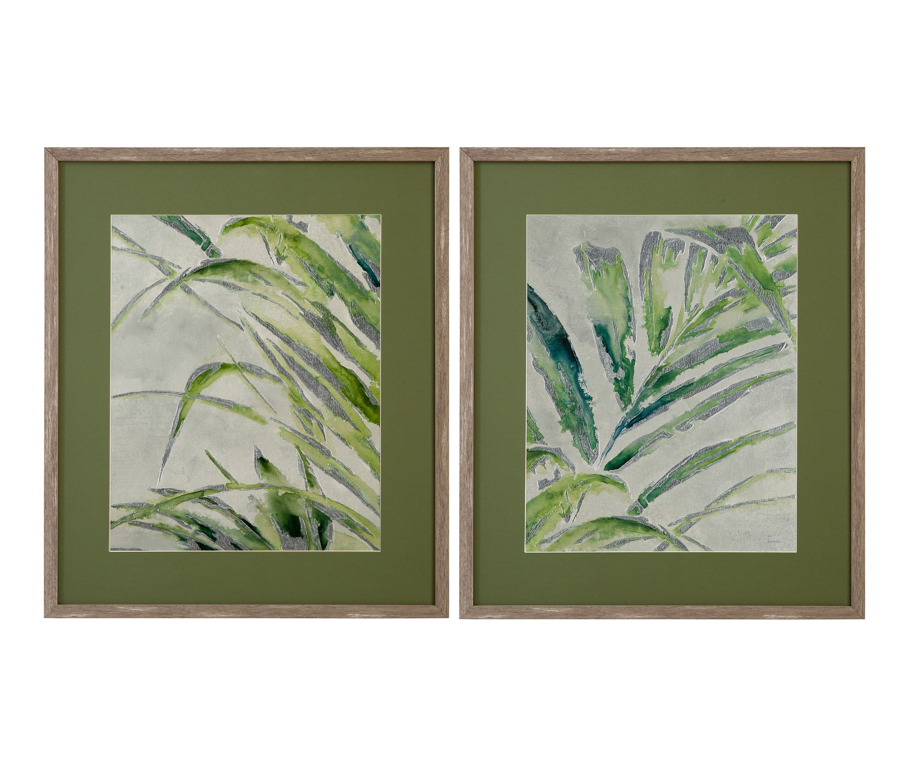 Green Palm II Framed Print
