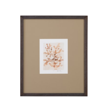 Parchment Coral I Framed Print