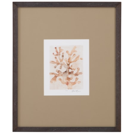 Parchment Coral I Framed Print