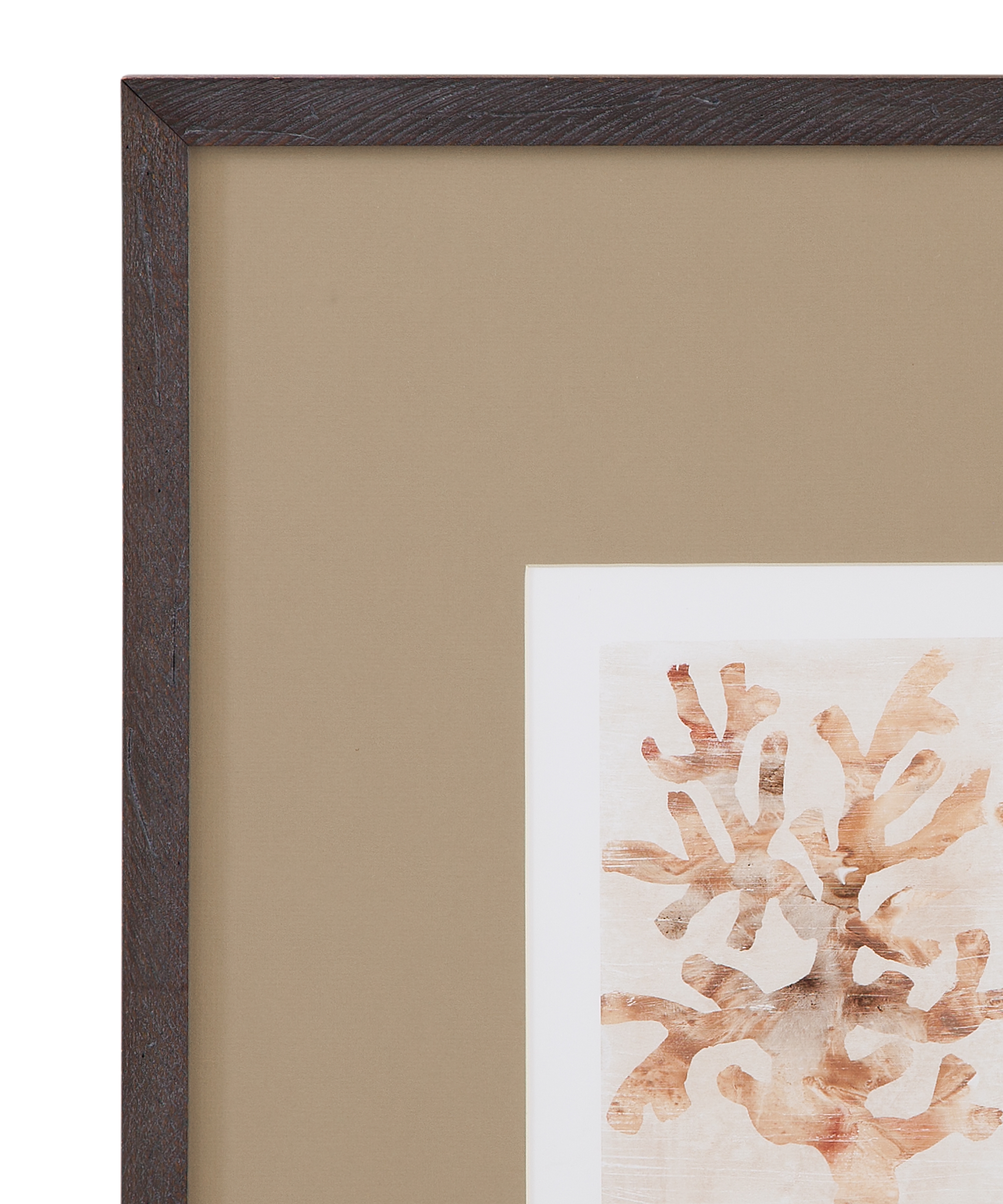 Parchment Coral I Framed Print