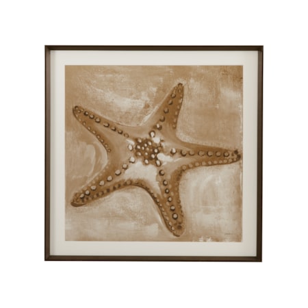 Neutral Starfish Framed Print