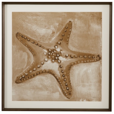 Neutral Starfish Framed Print