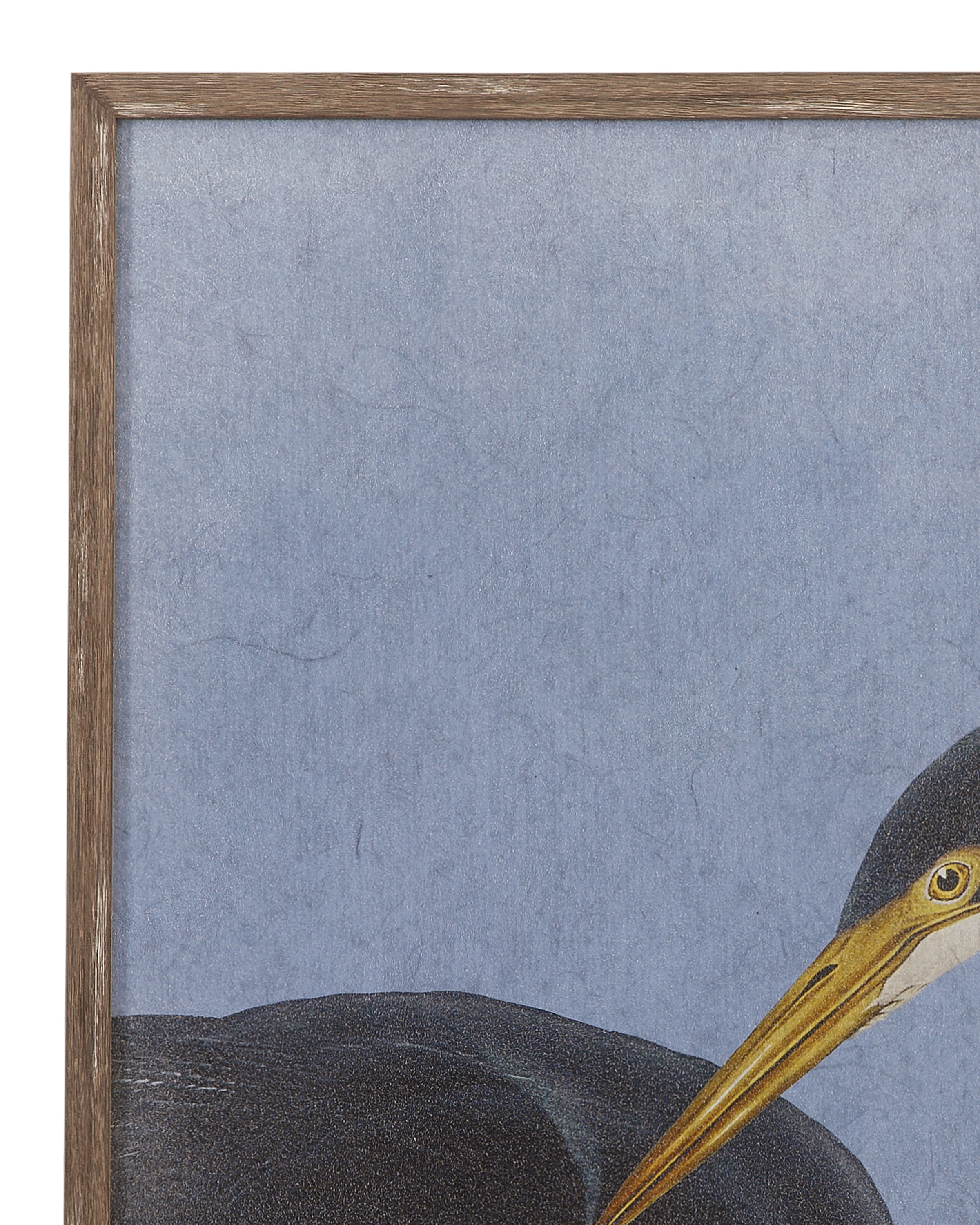 Bassett Mirror Bayou Heron Bayou Heron I Framed Print