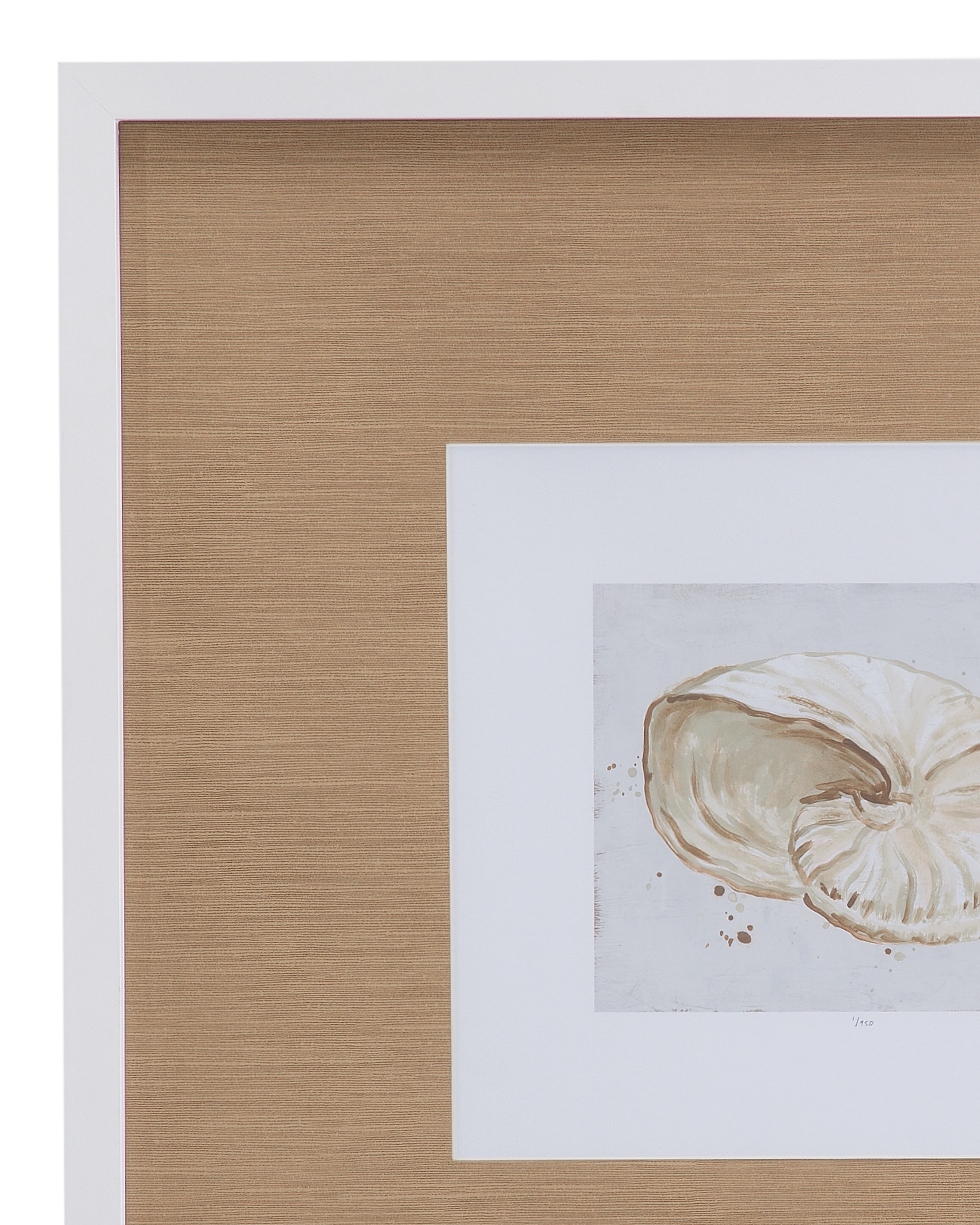 Neutral Shell Fresco Framed Print Set Of 4