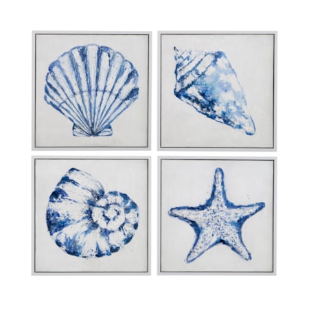 Shells Framed Canvas S/4