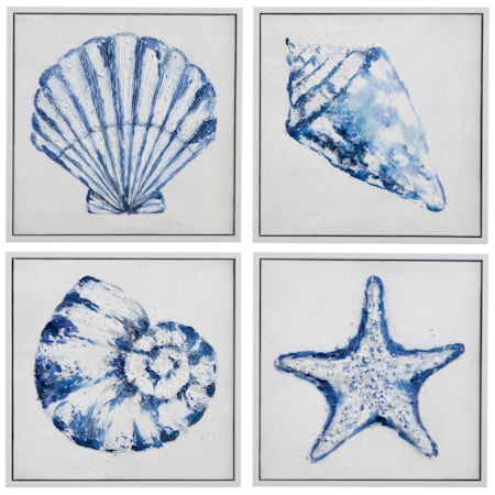 Shells Framed Canvas S/4