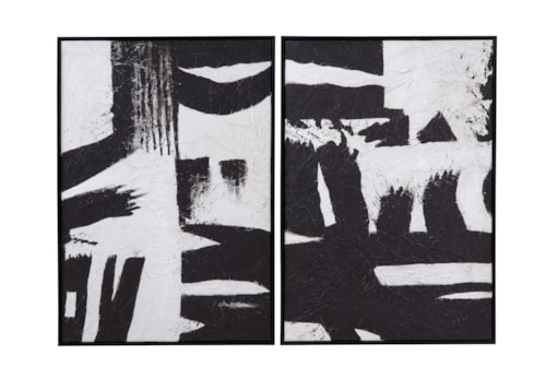 Black & White Framed Canvas Set Of 2