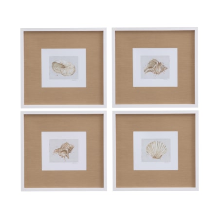 Neutral Shell Fresco Framed Print Set Of 4