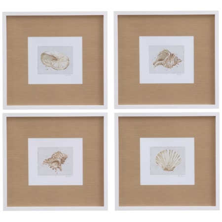 Neutral Shell Fresco Framed Print Set Of 4