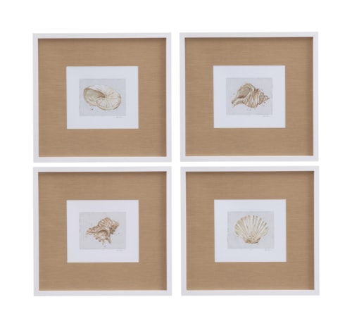 Neutral Shell Fresco Framed Print Set Of 4