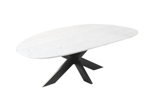 Contemporary Oval Coffee Table