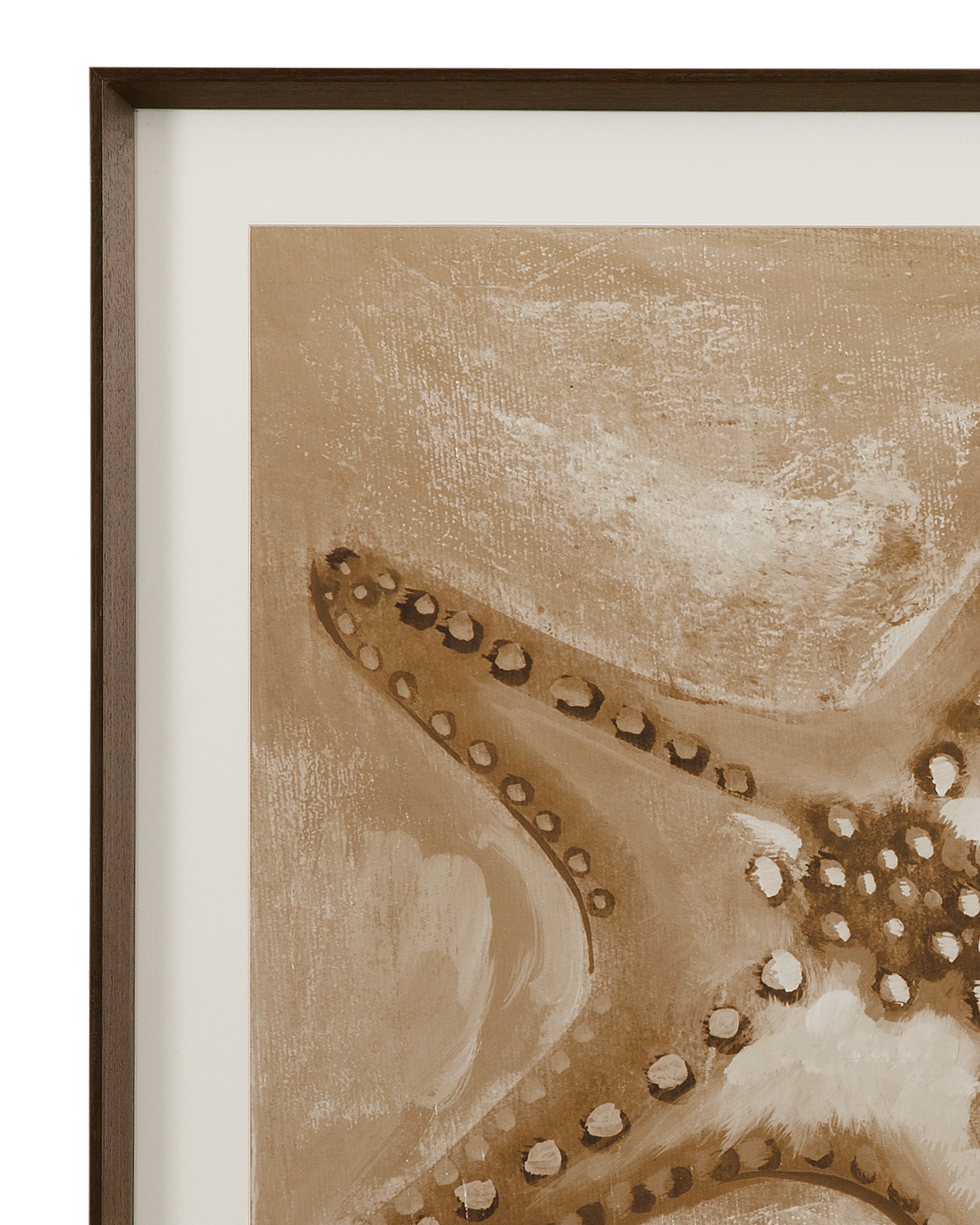 Bassett Mirror Art Neutral Starfish Framed Print