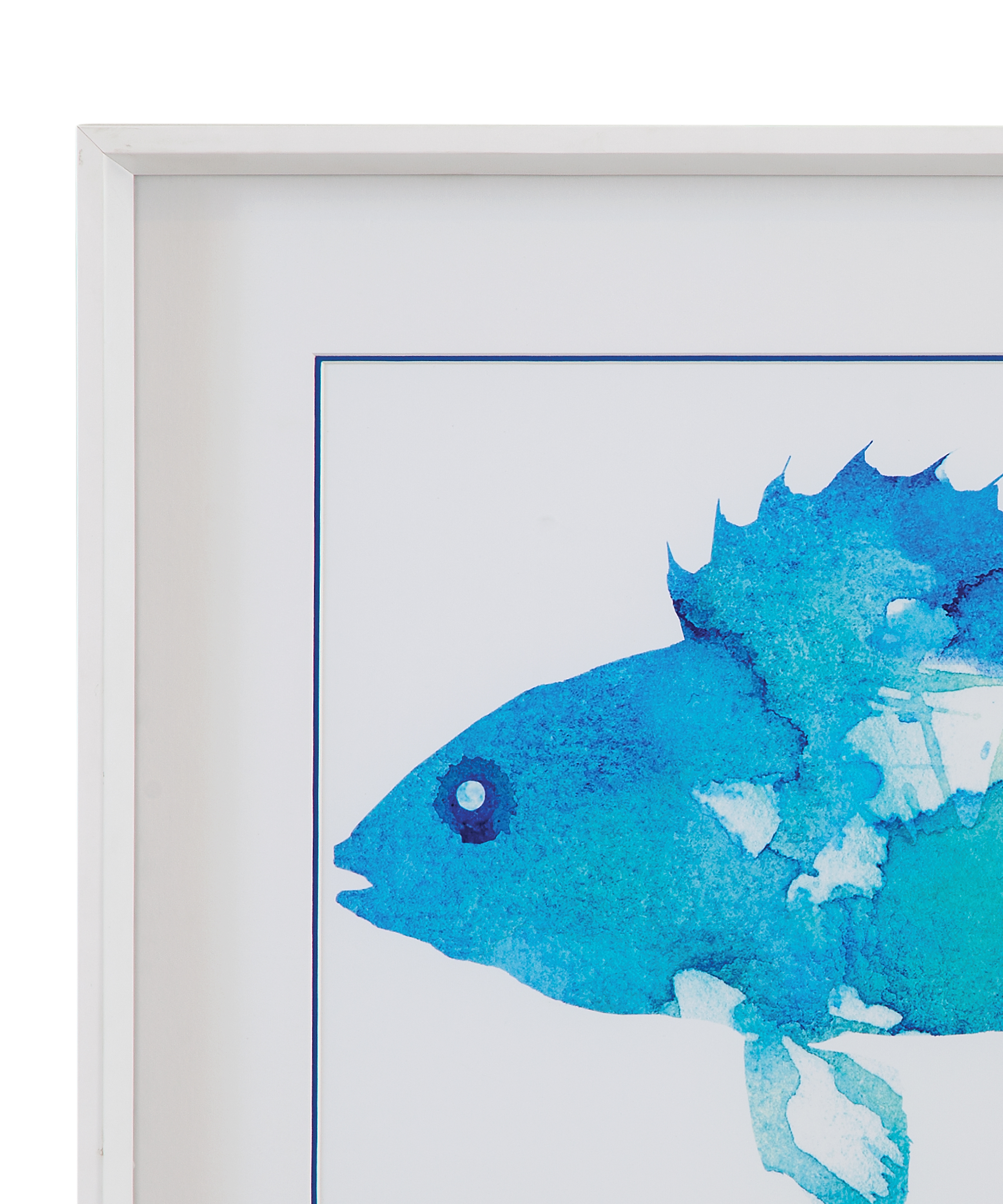 Watercolor Fish Framed Print Set Of 2