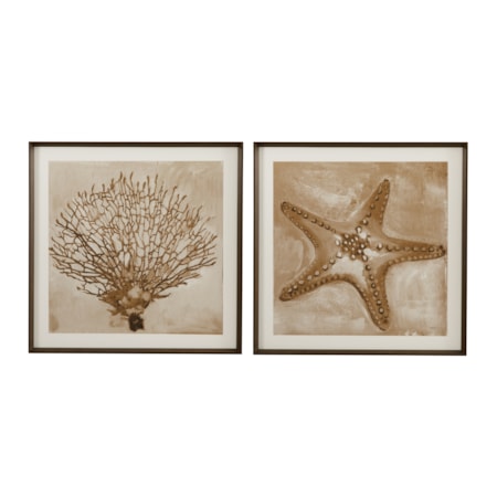 Neutral Seafan & Starfish Framed Print S/2
