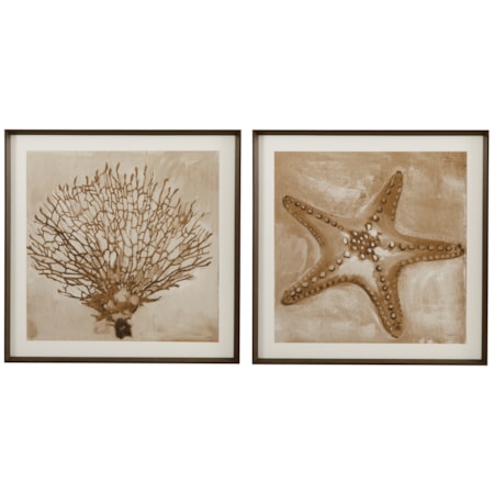 Neutral Seafan & Starfish Framed Print S/2