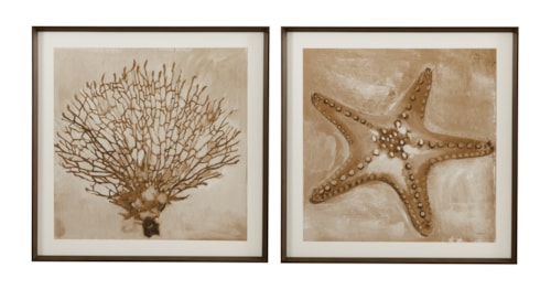Neutral Seafan & Starfish Framed Print S/2