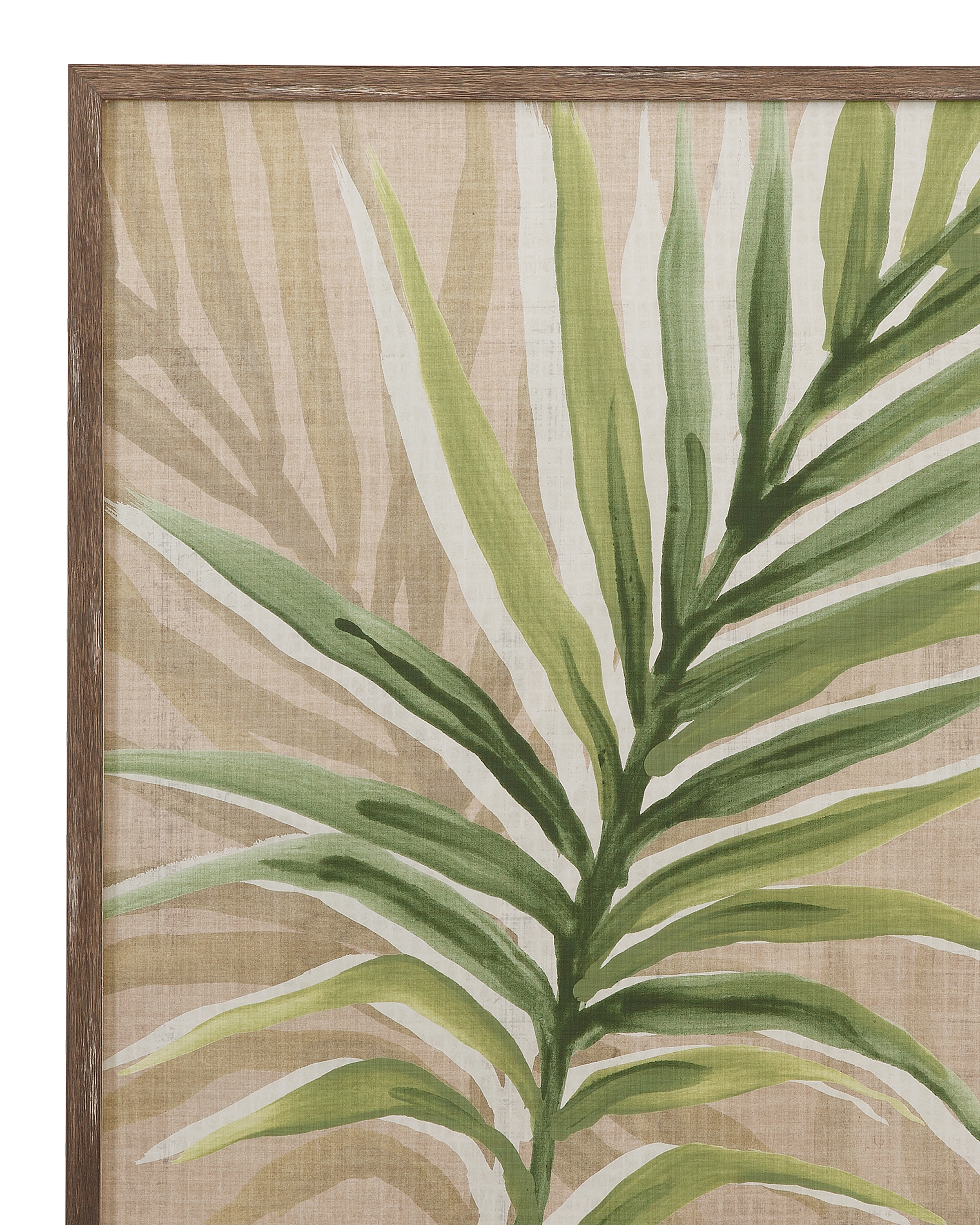 Bassett Mirror Art Burlap Palm Frond Framed Print S/2