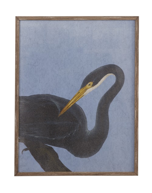 Bayou Heron I Framed Print