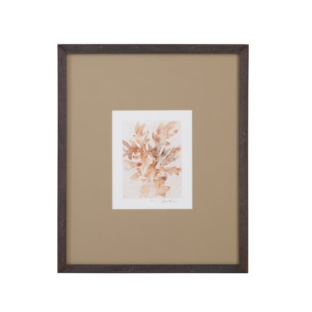 Parchment Coral IV Framed Print