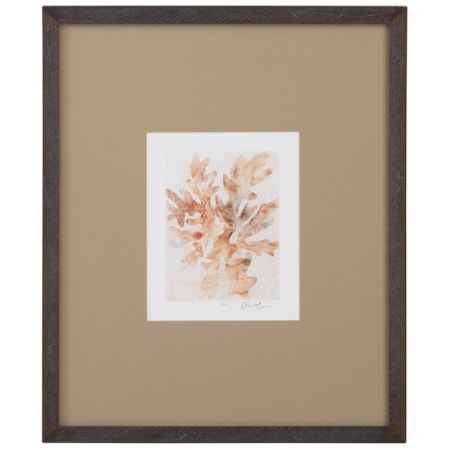 Parchment Coral IV Framed Print