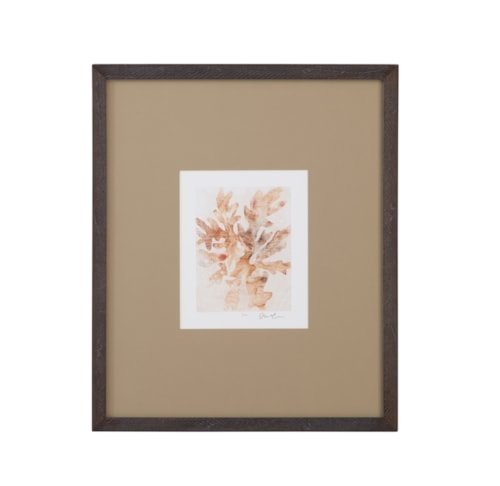 Parchment Coral IV Framed Print
