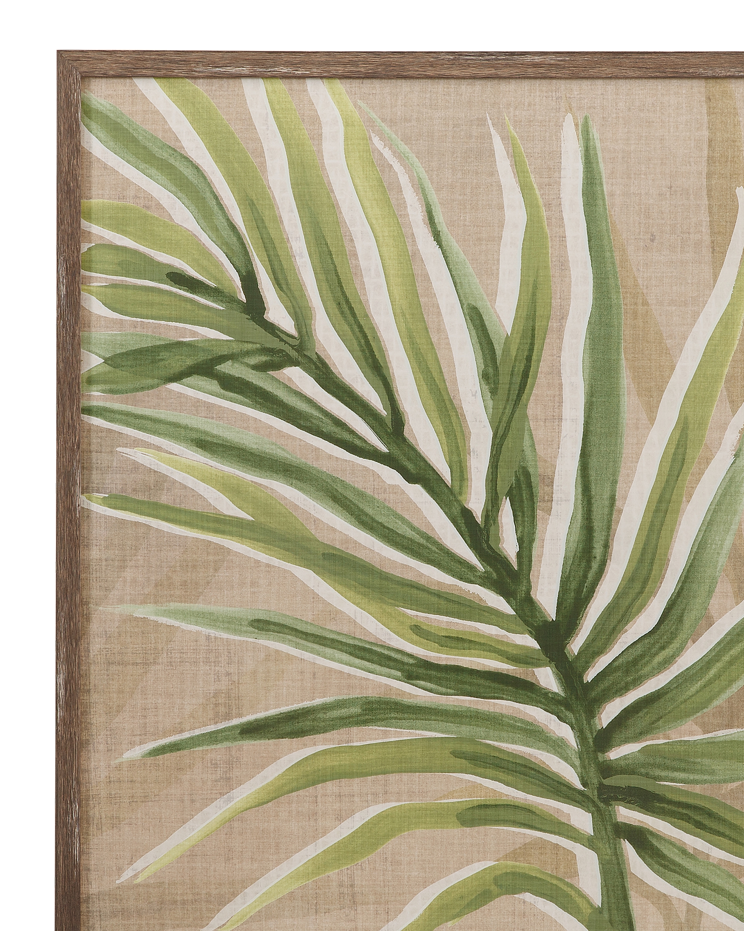 Bassett Mirror Art Burlap Palm Frond II Framed Print