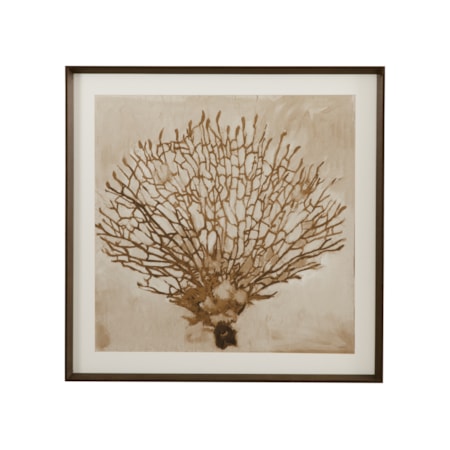 Neutral Seafan Framed Print