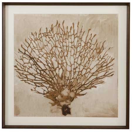 Neutral Seafan Framed Print