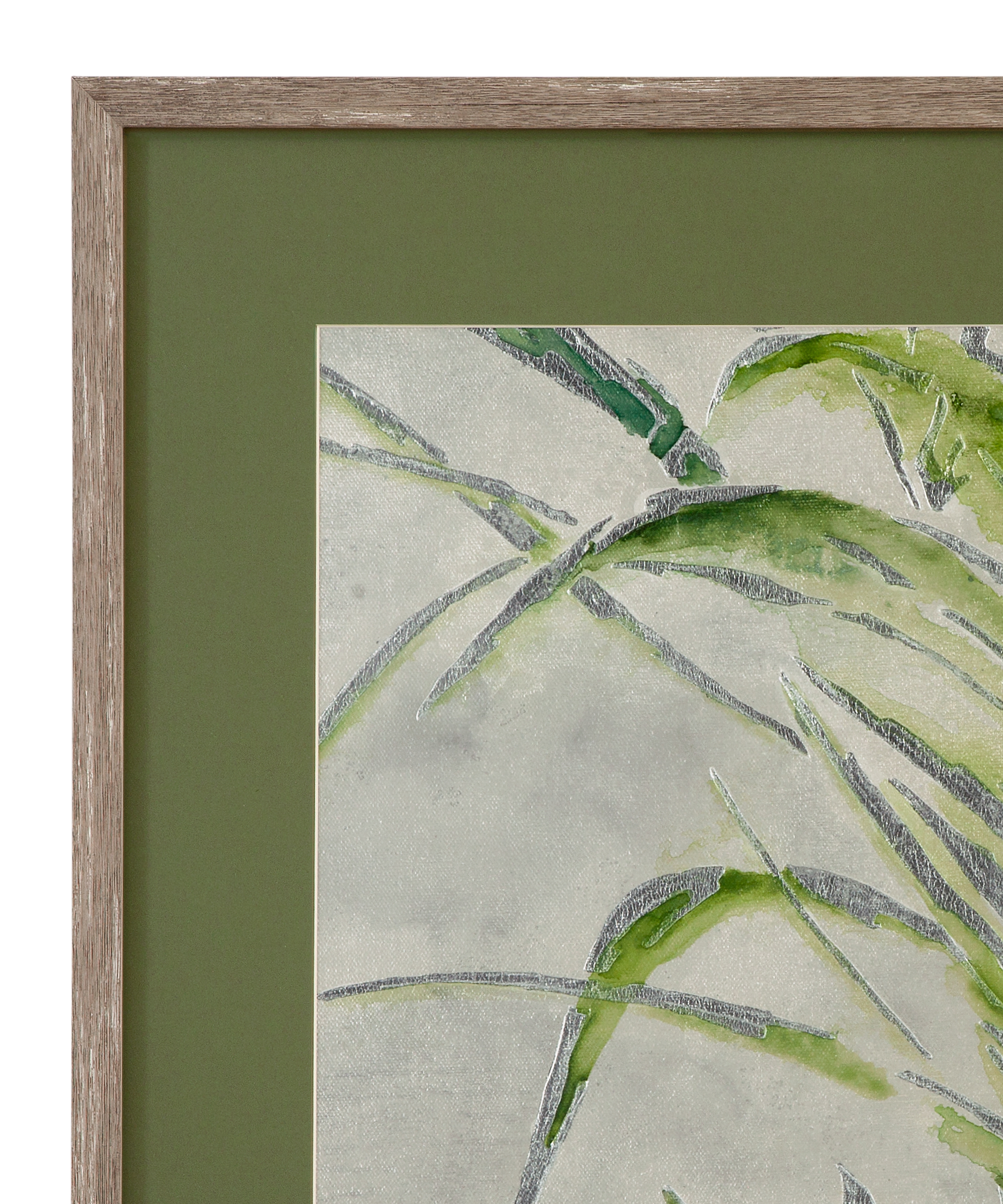 Green Palm II Framed Print