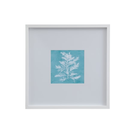 White Coral On Blue IV Framed Print