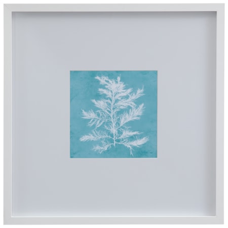 White Coral On Blue IV Framed Print
