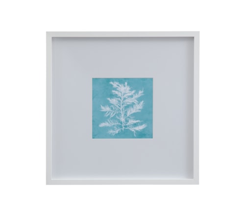 White Coral On Blue IV Framed Print