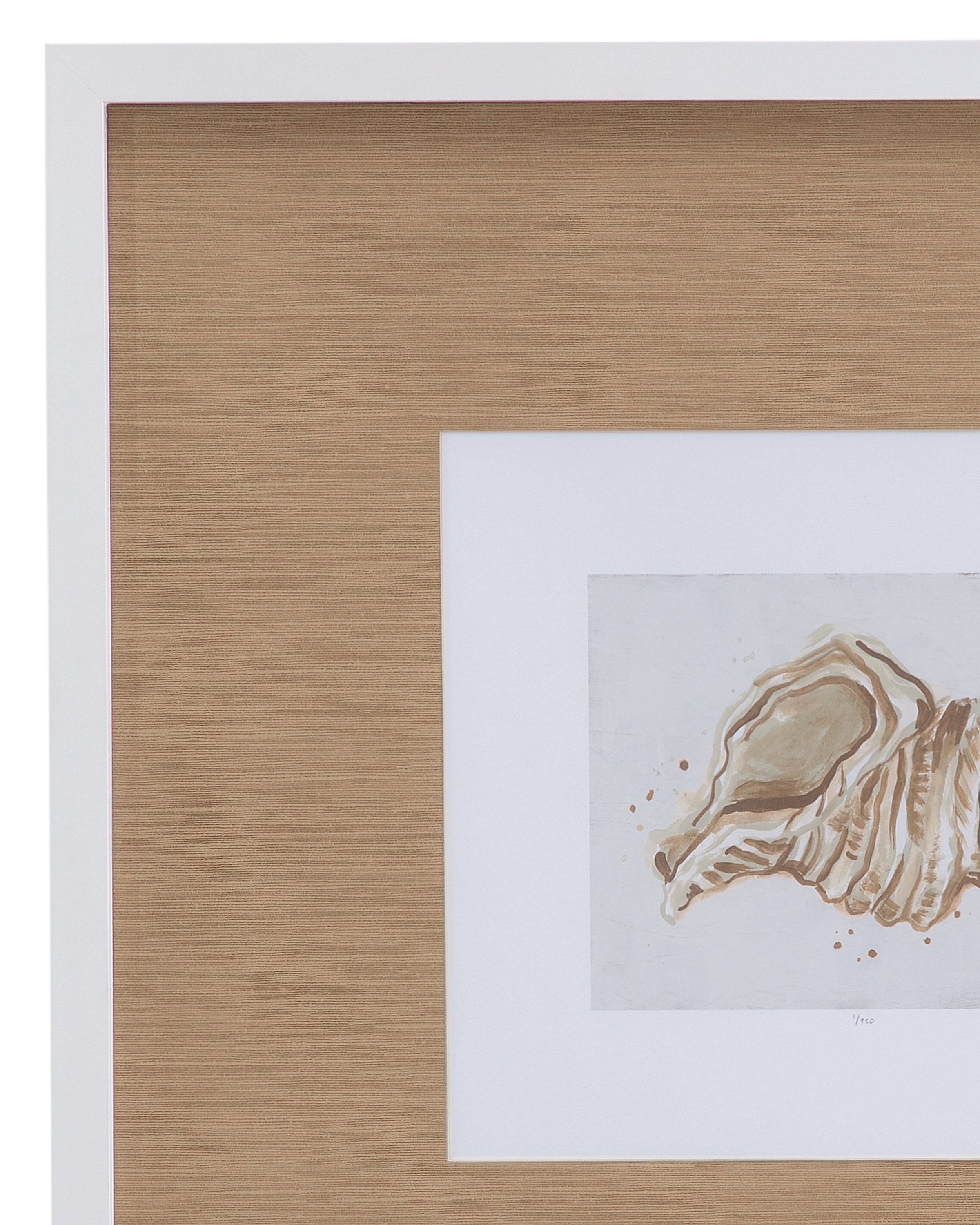 Neutral Shell Fresco II Framed Print