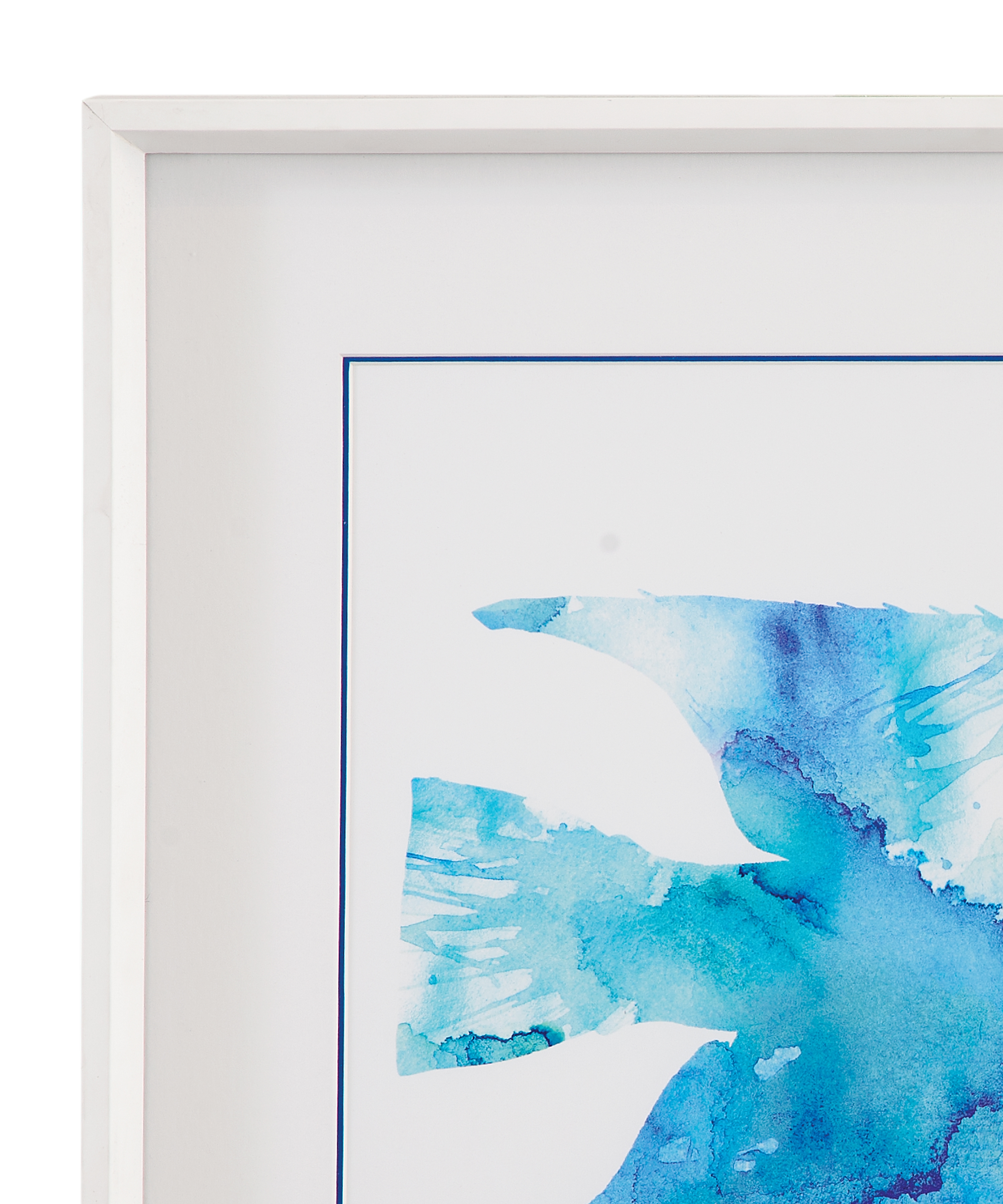 Watercolor Fish II Framed Print