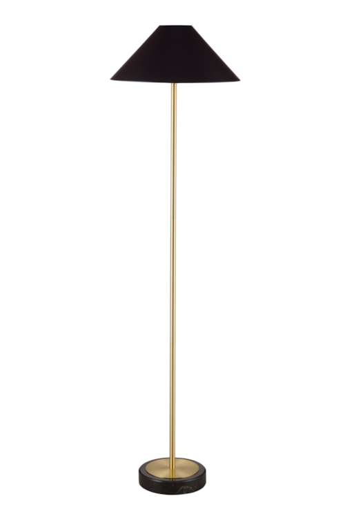 Transitional Gold Floor Lamp with Black Shade