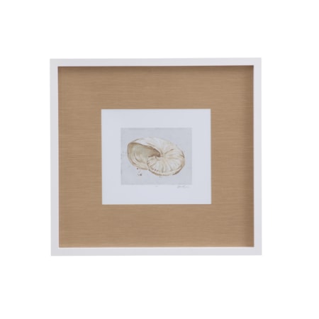 Neutral Shell Fresco I Framed Print