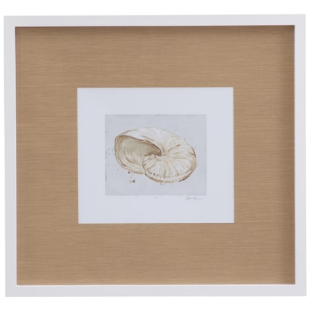 Neutral Shell Fresco I Framed Print