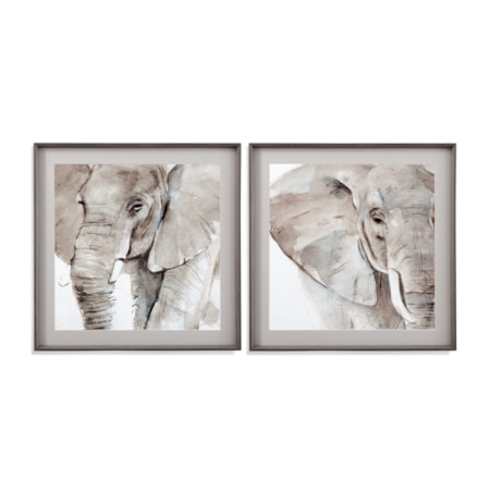Elephant Grooves Framed Print Set Of 2