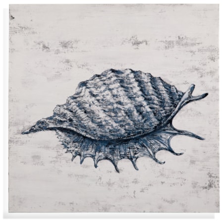Shell I Canvas Art