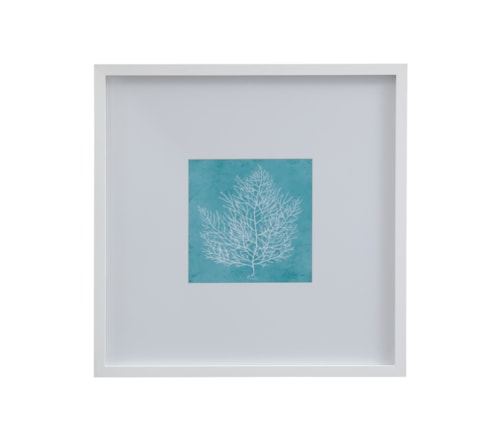 White Coral On Blue I Framed Print