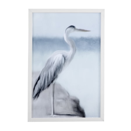 Marine Life Framed Print