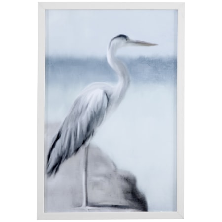 Marine Life Framed Print