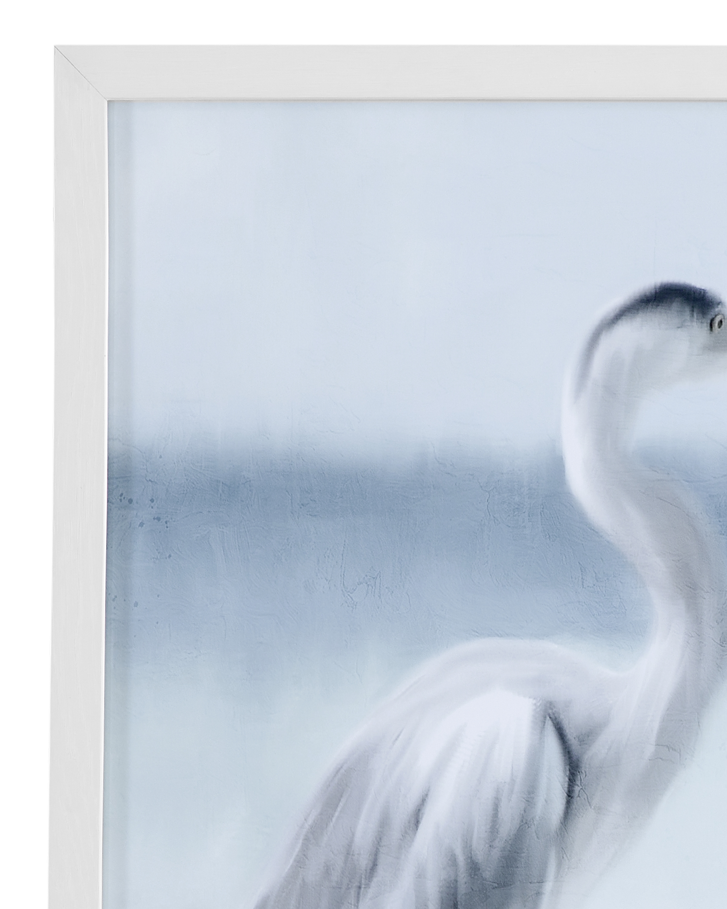 Marine Life Framed Print